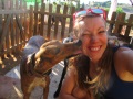 Galgo kisses