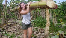 A volunteer helps harvest food for elephants