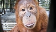 Julius smiles with ants on his fac